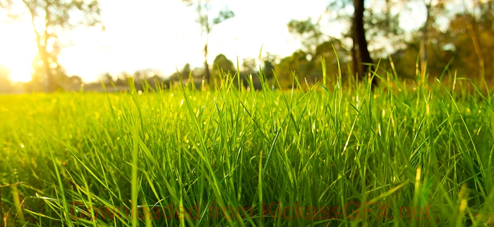 苹果短信轰炸机