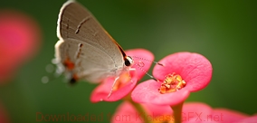 【注册码序列号】永久激活的手机号轰炸在线
